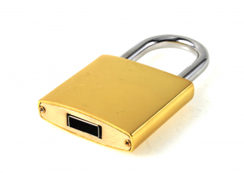 CM 1136 Golden Lock