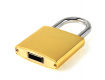 CM 1136 Golden Lock